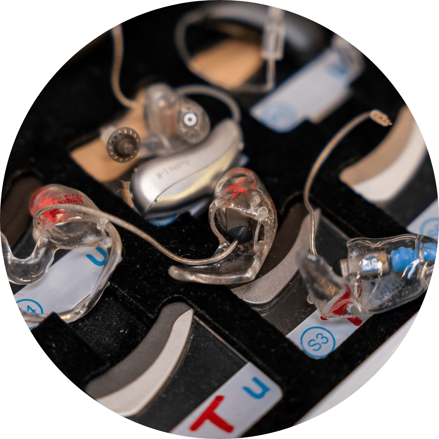 Hearing aids with custom molds in a selection case